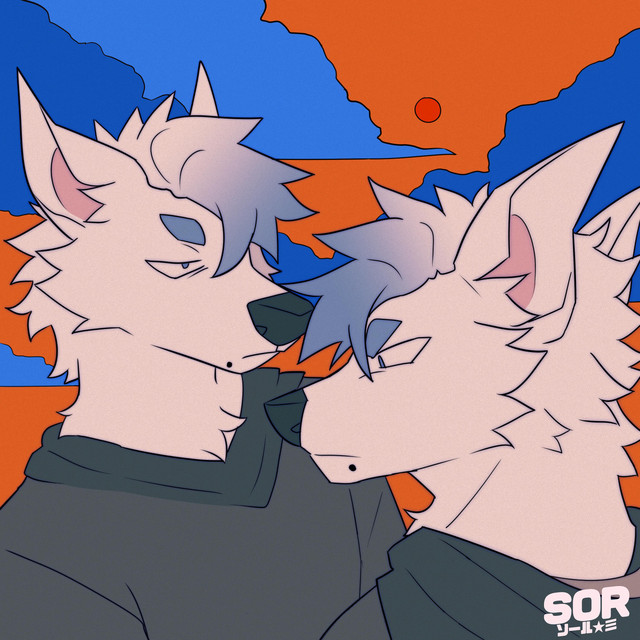 Dual Memory cover