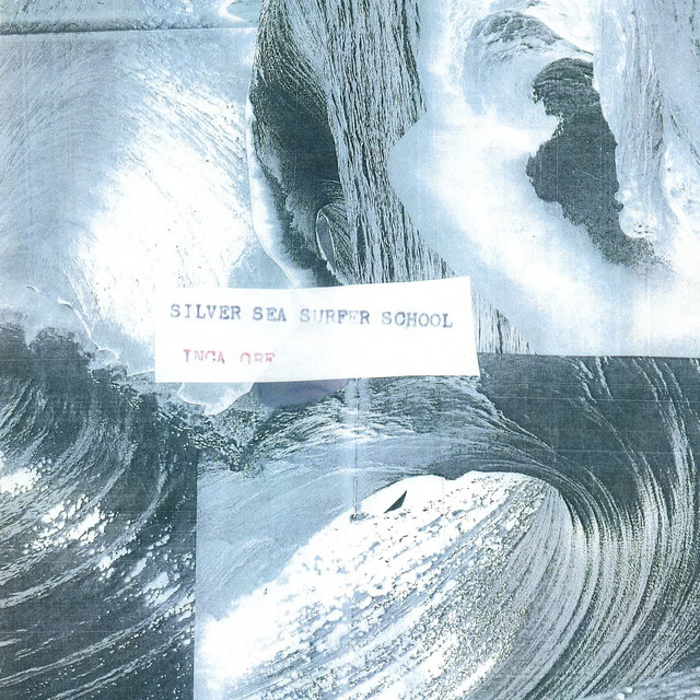 Silver Sea Surfer School cover art