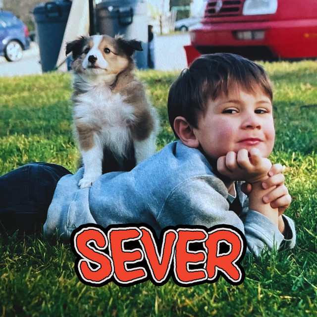 Sever cover art