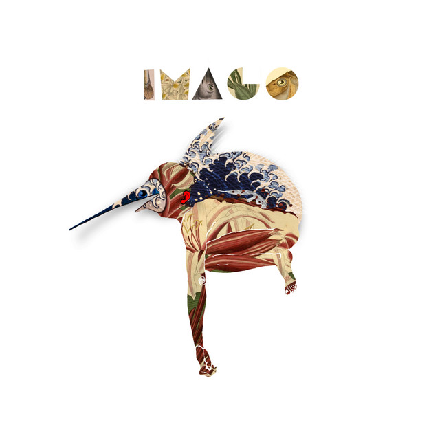 Imago cover art