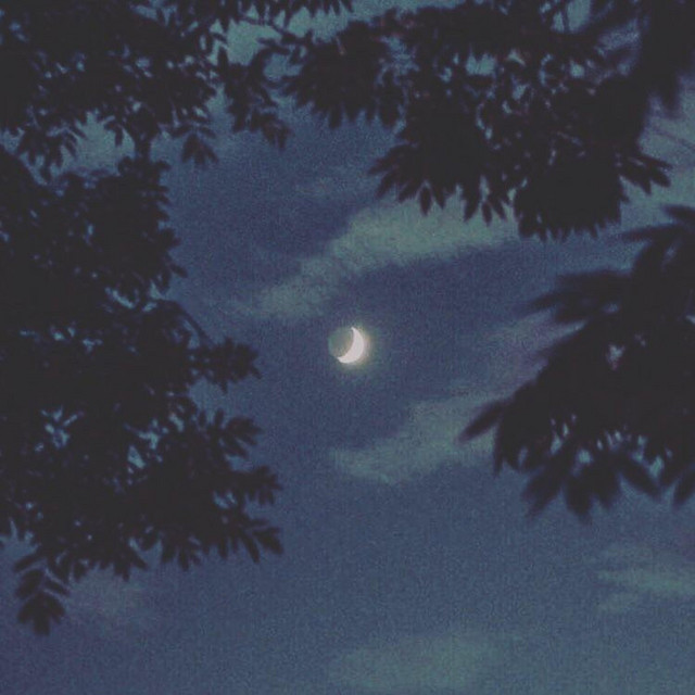 Moonlight