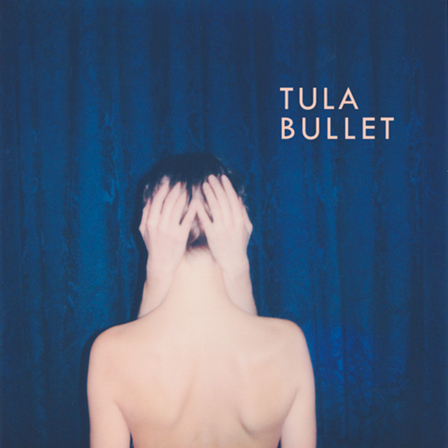 Bullet cover art