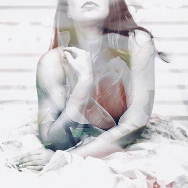 Blush cover art