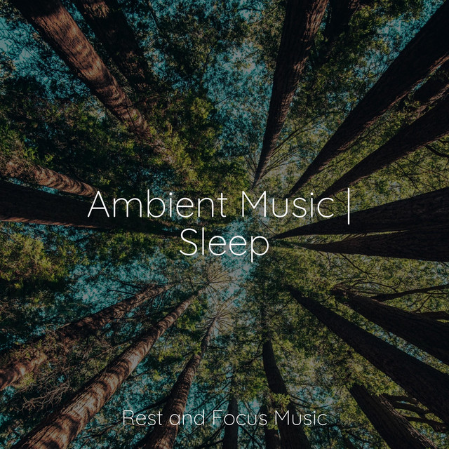 Ambient Music | Sleep - Album by Relax Meditation Sleep | Spotify