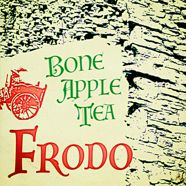 Frodo cover art