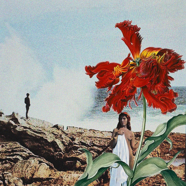 Meditations cover art