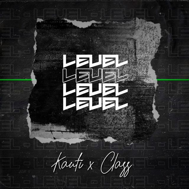 Level cover art
