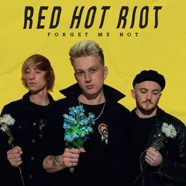 Forget Me Not cover art