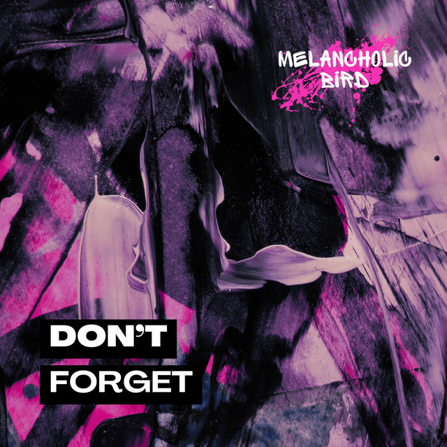 Обкладинка: Don't Forget — Melancholic Bird