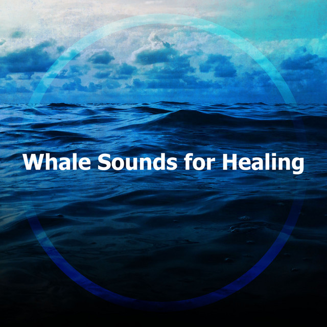 Whale Sounds for Healing cover art