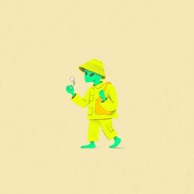 Lost cover