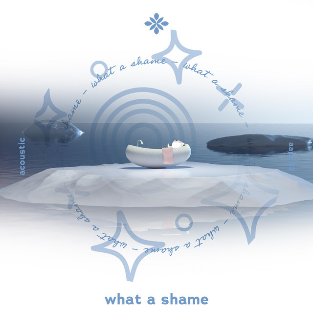 what a shame - acoustic cover art