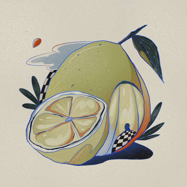 Pomelo - Single by Unwind Project | Spotify