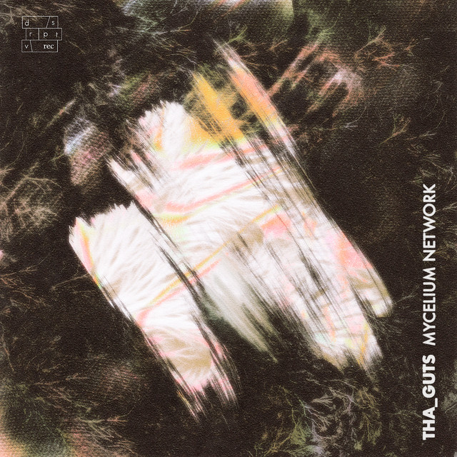 Mycelium Network cover art