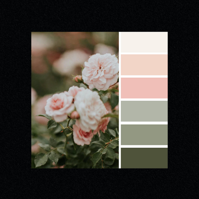 raze // lacuna cover art