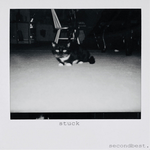 Secondbest Photo