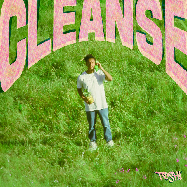 Cleanse cover art