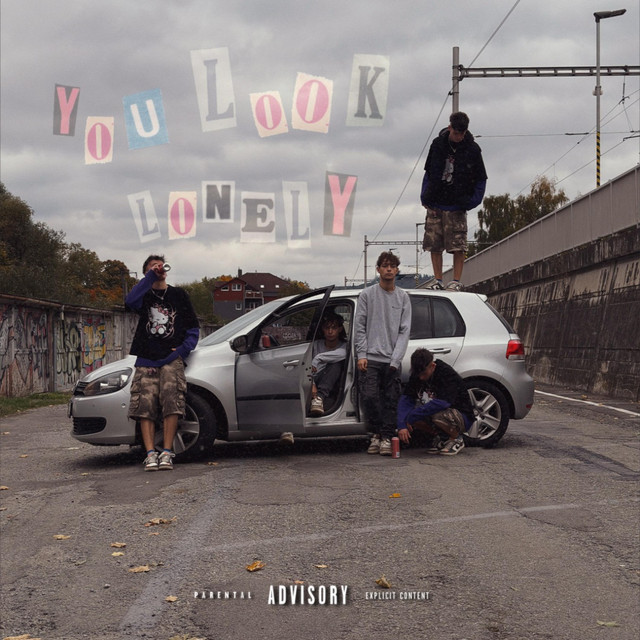You Look Lonely.. cover art