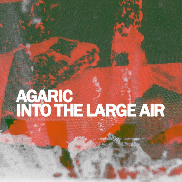 Into the Large Air cover art