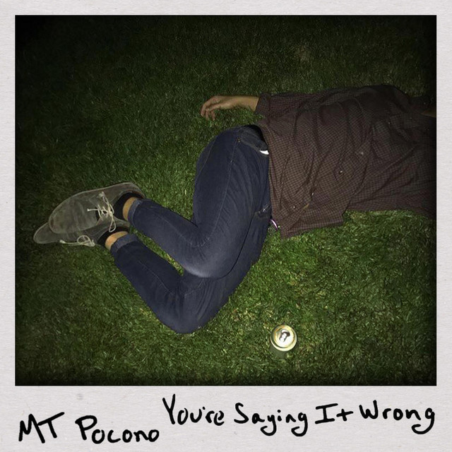 You're Saying It Wrong cover art