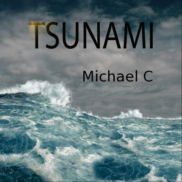 Pochette du titre Tsunami