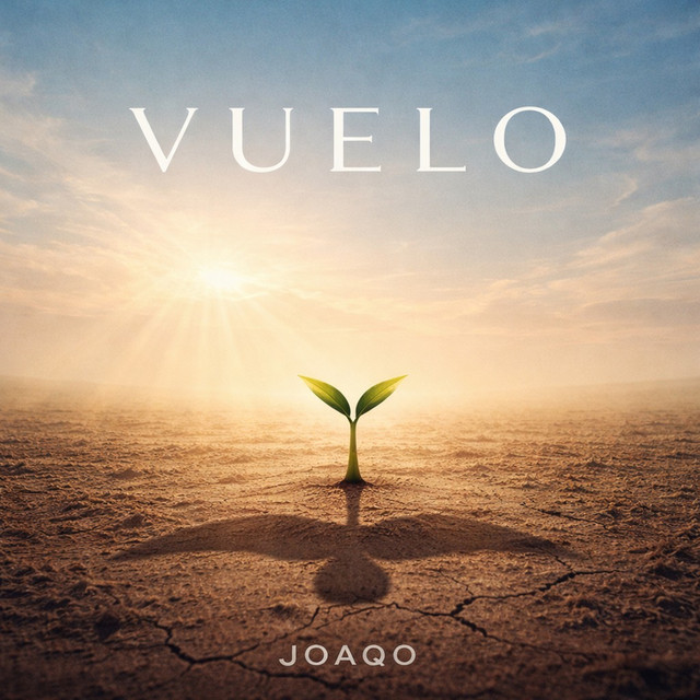 Vuelo