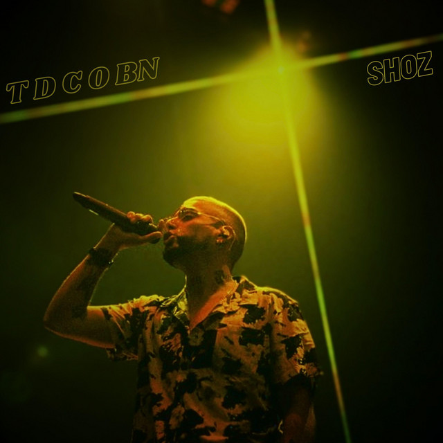 t-d-c-o-bn-single-by-shoz-spotify
