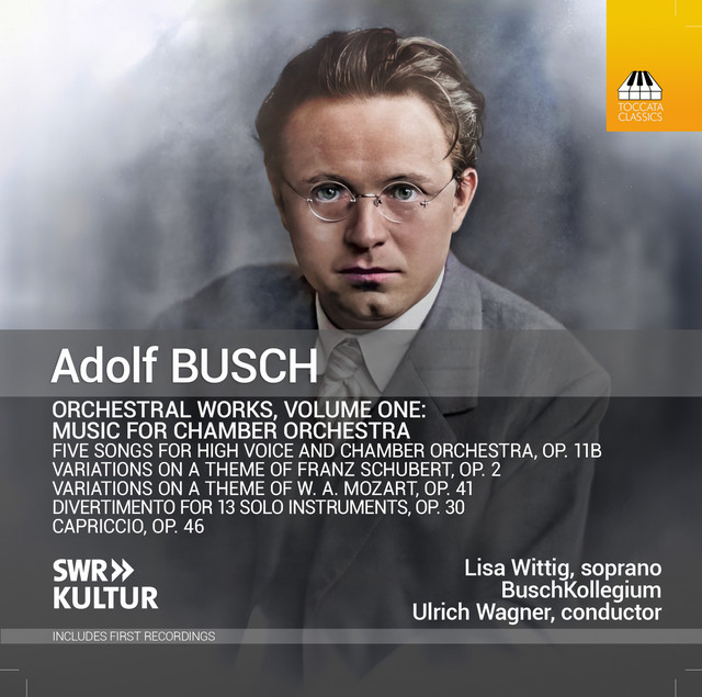 Busch: Orchestral Works, Vol. 1 (Live)