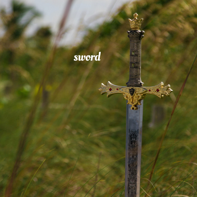 sword cover art
