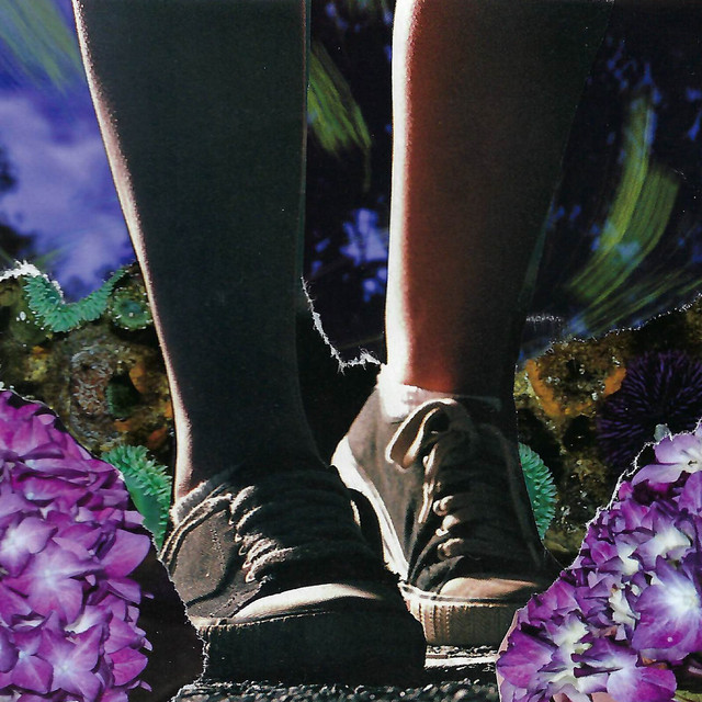 Anticipating cover art
