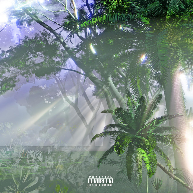 Summer Camp cover art