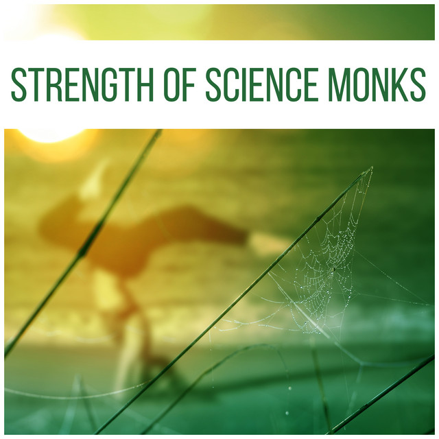 Strength of Science Monks cover art