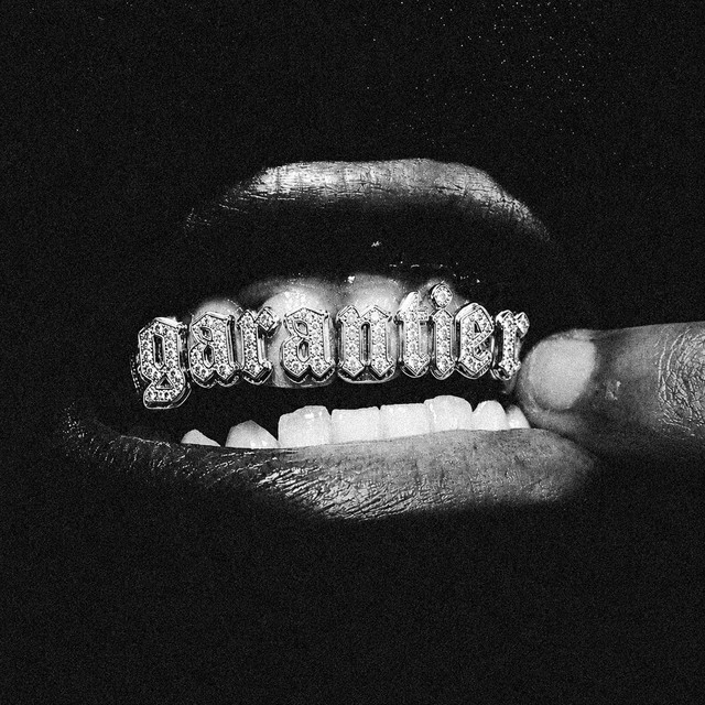 garantier. cover art