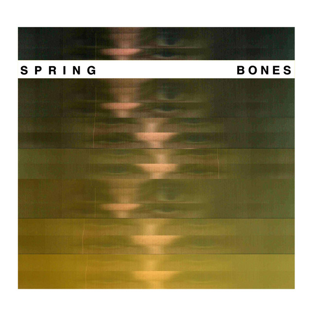 Bones cover art
