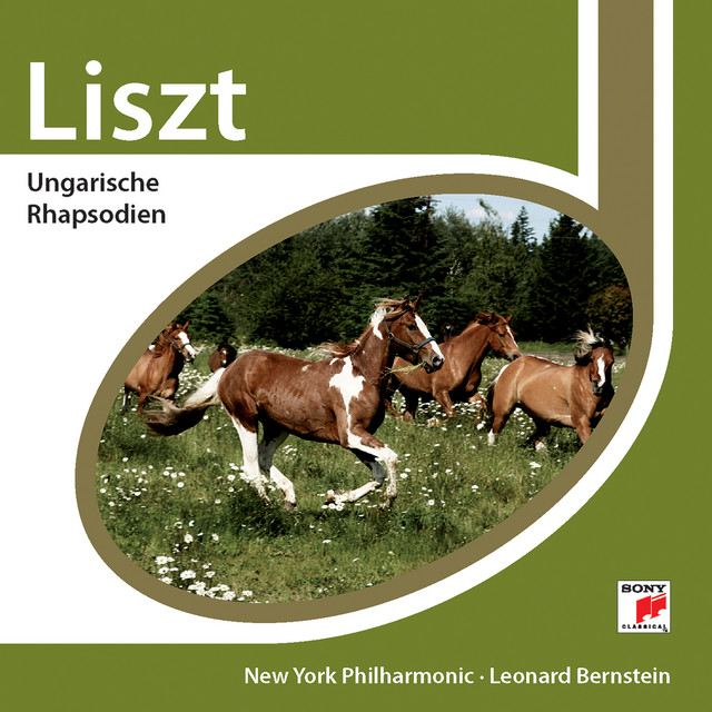 Liszt: Hungarian Rhapsodies cover art