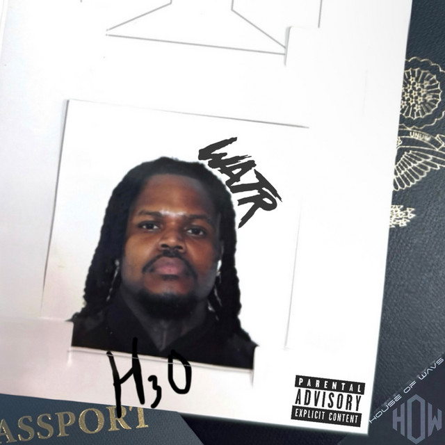 Finna Bust cover art
