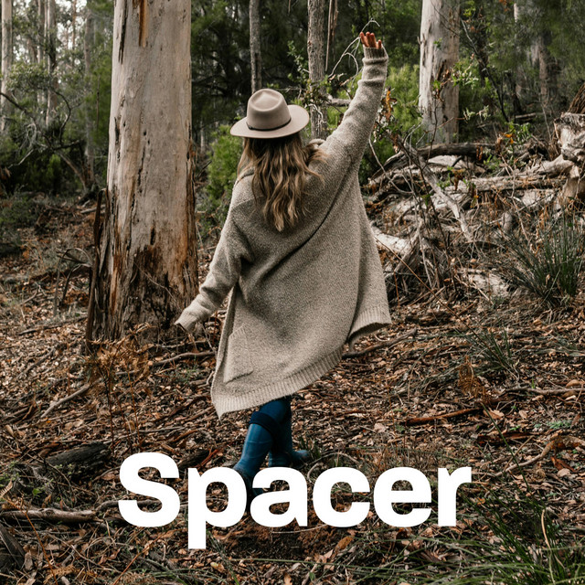 Spacer cover art