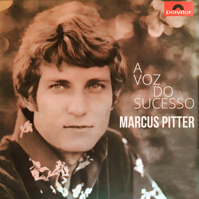 A Voz Do Sucesso cover