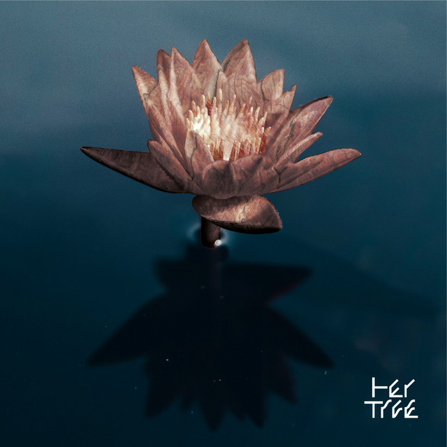 Don't Try, Be Beautiful cover art