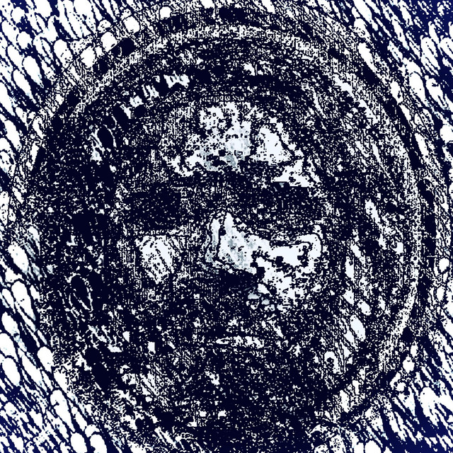 White Liver cover art