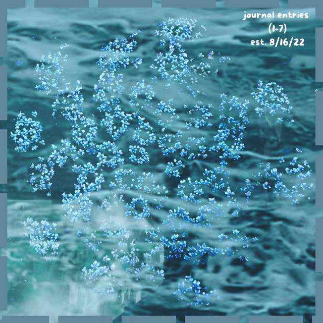 journal entries cover art
