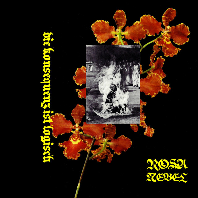 Die Konsequenz Ist Logisch cover art