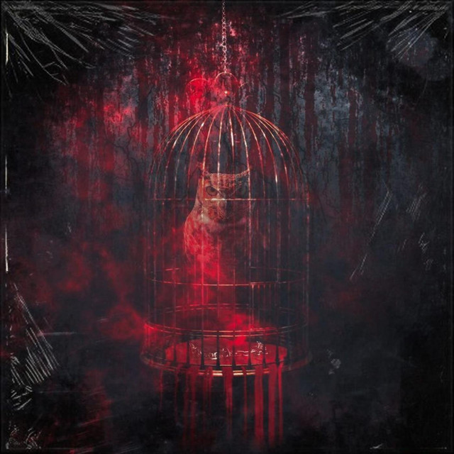 Bird Cage cover art