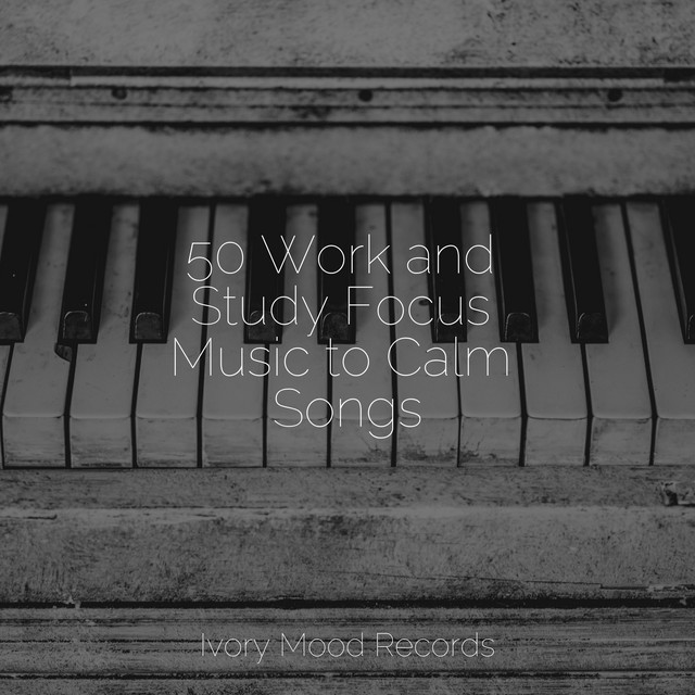 50 Work and Study Focus Music to Calm Songs - Album by SD | Spotify
