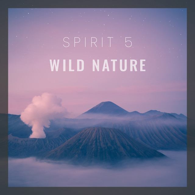 Wild Nature cover art