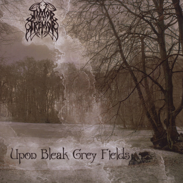 Upon Bleak Grey Fields cover art