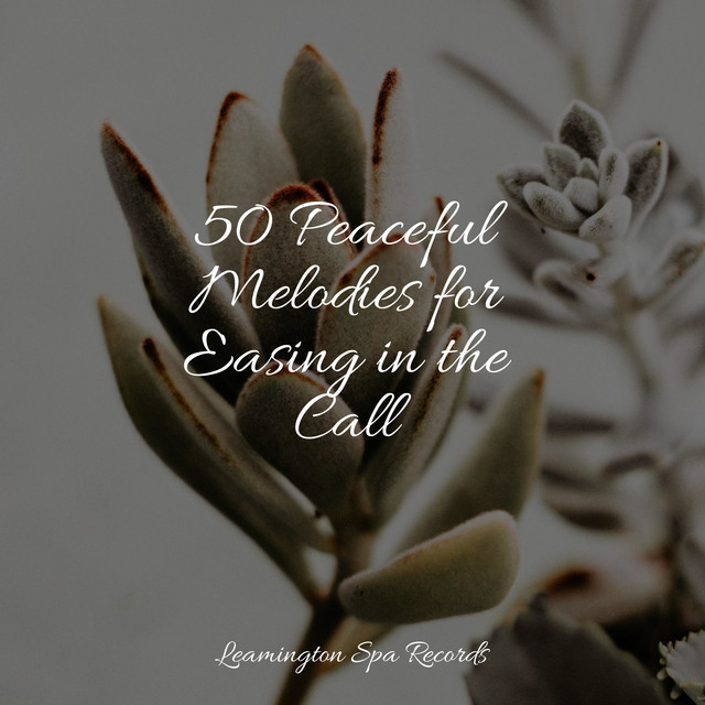 50 Peaceful Melodies for Easing in the Call - Album by Deep Sleep ...