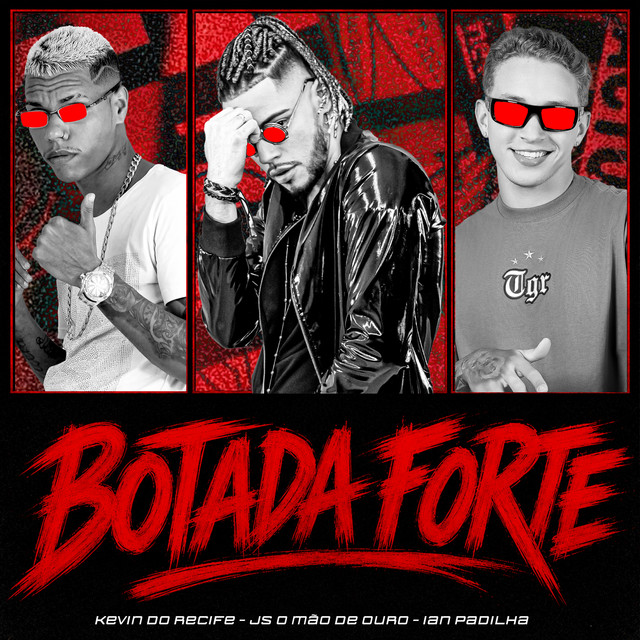 Botada Forte album image