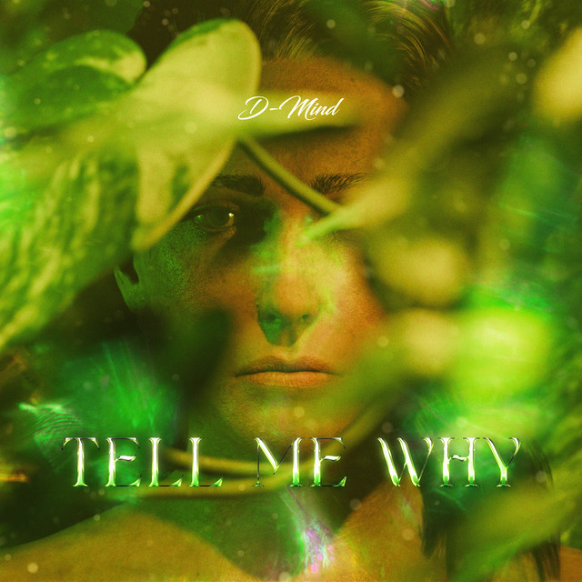 Tell Me Why cover art