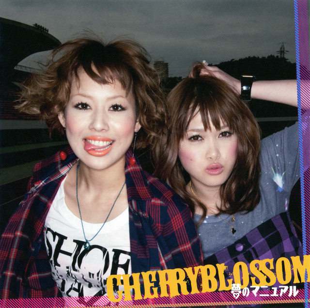 Cover of 夢のマニュアル (Reborn! Edition) by CHERRYBLOSSOM